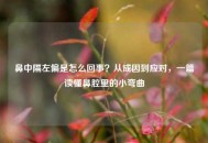 鼻中隔左偏是怎么回事？从成因到应对，一篇读懂鼻腔里的小弯曲
