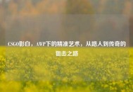 CSGO影白，AWP下的精准艺术，从路人到传奇的狙击之路
