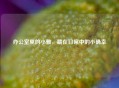 办公室里的小雅，藏在日常中的小确幸