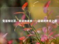 鬼面樱花落，青锋映血痕——雷藏的未竟之路