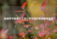 流感季节是哪几个月？科学防护助你健康度过