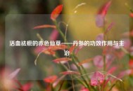 活血祛瘀的赤色仙草——丹参的功效作用与主治