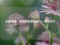 王者荣耀，法师的智慧瑰宝——圣人符文