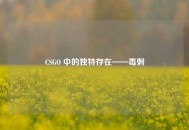 CSGO 中的独特存在——毒刺