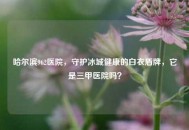 哈尔滨962医院，守护冰城健康的白衣盾牌，它是三甲医院吗？