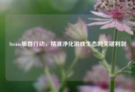Steam斩首行动，精准净化游戏生态的关键利剑