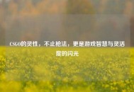 CSGO的灵性，不止枪法，更是游戏智慧与灵活度的闪光