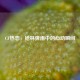CF热恋，枪林弹雨中的心动瞬间