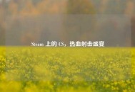 Steam 上的 CS，热血射击盛宴