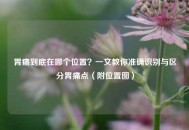 胃痛到底在哪个位置？一文教你准确识别与区分胃痛点（附位置图）