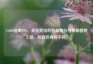 CSGO完美PPL，全民竞技的热血舞台与草根圆梦之路，和官匹有何不同？