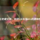 峡谷灵魂交响，刻进LOL玩家DNA的神级配乐