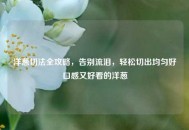 洋葱切法全攻略，告别流泪，轻松切出均匀好口感又好看的洋葱