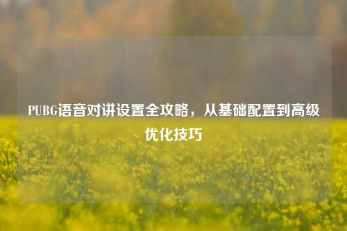PUBG语音对讲设置全攻略，从基础配置到高级优化技巧