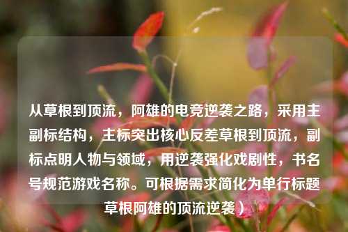 从草根到顶流，阿雄的电竞逆袭之路，采用主副标结构，主标突出核心反差草根到顶流，副标点明人物与领域，用逆袭强化戏剧性，书名号规范游戏名称。可根据需求简化为单行标题草根阿雄的顶流逆袭）