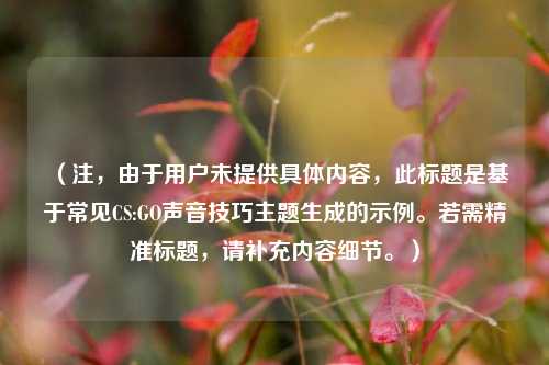（注，由于用户未提供具体内容，此标题是基于常见CS:GO声音技巧主题生成的示例。若需精准标题，请补充内容细节。）