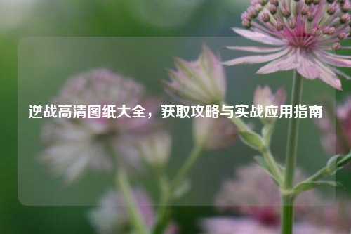 逆战高清图纸大全,获取攻略与实战应用指南