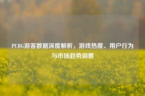 PUBG游客数据深度解析，游戏热度、用户行为与市场趋势洞察