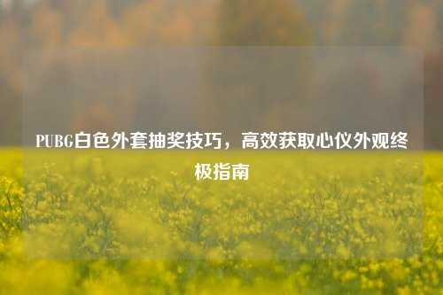 PUBG白色外套抽奖技巧，高效获取心仪外观终极指南