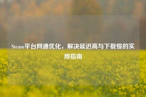Steam平台网通优化,解决延迟高与下载慢的实用指南