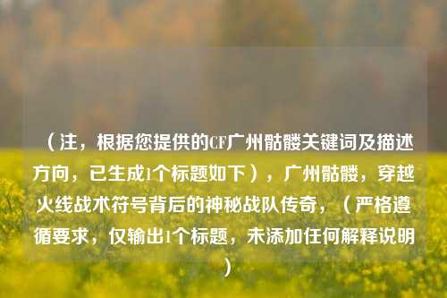 (注,根据您提供的CF广州骷髅关键词及描述方向,已生成1个标题如下),广州骷髅,穿越火线战术符号背后的神秘战队传奇,(严格遵循要求,仅输出1个标题,未添加任何解释说明)