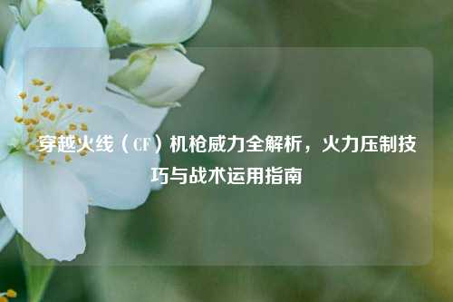 穿越火线（CF）机枪威力全解析，火力压制技巧与战术运用指南