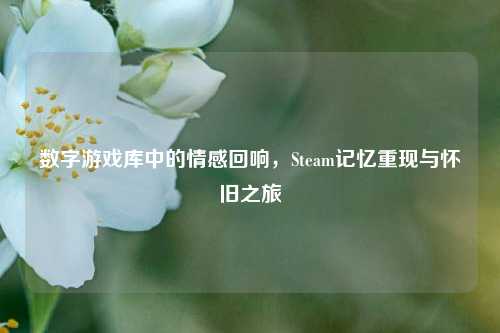 数字游戏库中的情感回响，Steam记忆重现与怀旧之旅