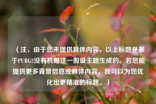 （注，由于您未提供具体内容，以上标题是基于PUBG2没有机瞄这一假设主题生成的。若您能提供更多背景信息或具体内容，我可以为您优化出更精准的标题。）