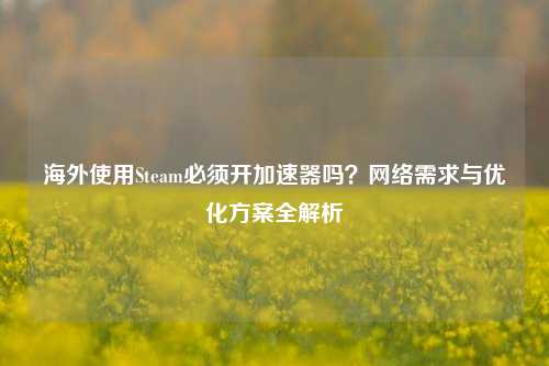 海外使用Steam必须开加速器吗?网络需求与优化方案全解析