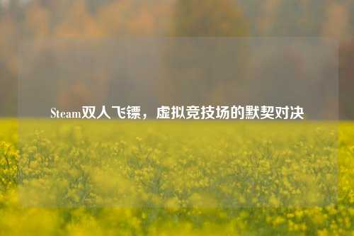 Steam双人飞镖，虚拟竞技场的默契对决