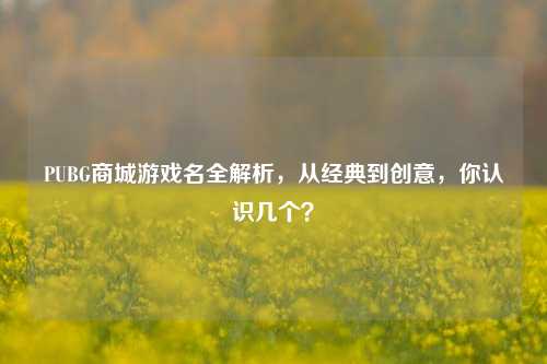 PUBG商城游戏名全解析，从经典到创意，你认识几个？