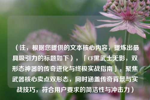 （注，根据您提供的文本核心内容，提炼出最具吸引力的标题如下），「CF黑武士无影，双形态神器的传奇进化与终极实战指南」，聚焦武器核心卖点双形态，同时涵盖传奇背景与实战技巧，符合用户要求的简洁性与冲击力）