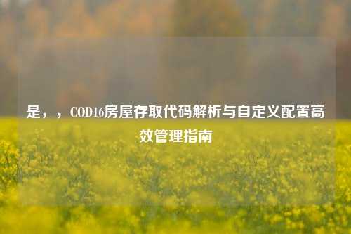 是,,COD16房屋存取代码解析与自定义配置高效管理指南
