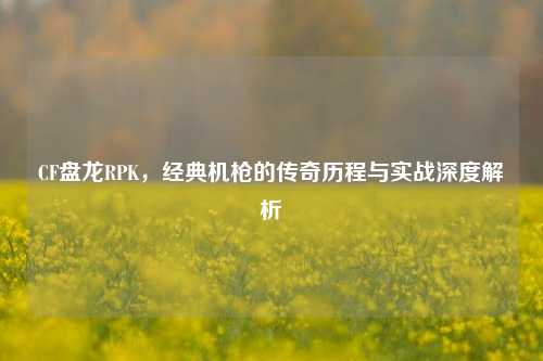 CF盘龙RPK，经典机枪的传奇历程与实战深度解析