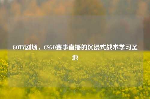 GOTV剧场，CSGO赛事直播的沉浸式战术学习圣地