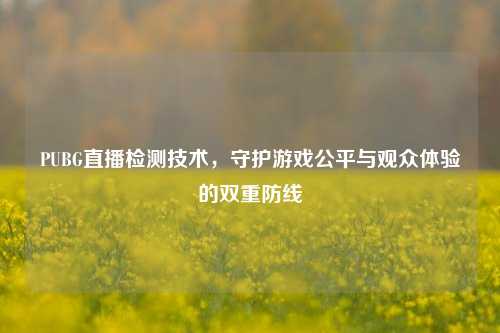 PUBG直播检测技术，守护游戏公平与观众体验的双重防线