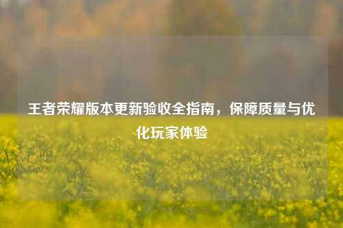 王者荣耀版本更新验收全指南，保障质量与优化玩家体验
