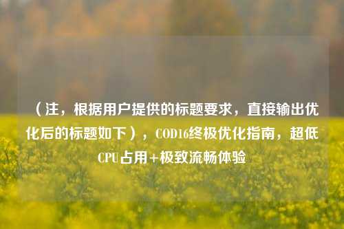 （注，根据用户提供的标题要求，直接输出优化后的标题如下），COD16终极优化指南，超低CPU占用+极致流畅体验