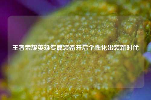王者荣耀英雄专属装备开启个性化出装新时代