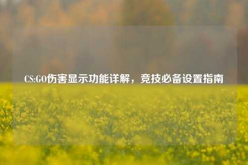 CS:GO伤害显示功能详解，竞技必备设置指南