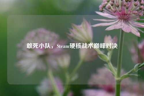 敢死小队，Steam硬核战术巅峰对决