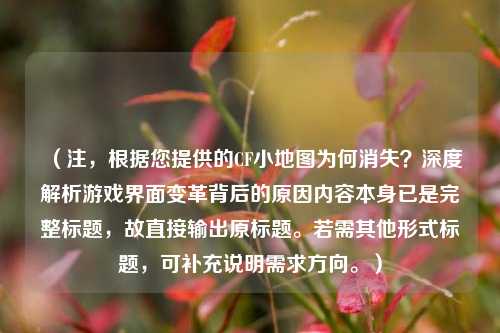 （注，根据您提供的CF小地图为何消失？深度解析游戏界面变革背后的原因内容本身已是完整标题，故直接输出原标题。若需其他形式标题，可补充说明需求方向。）