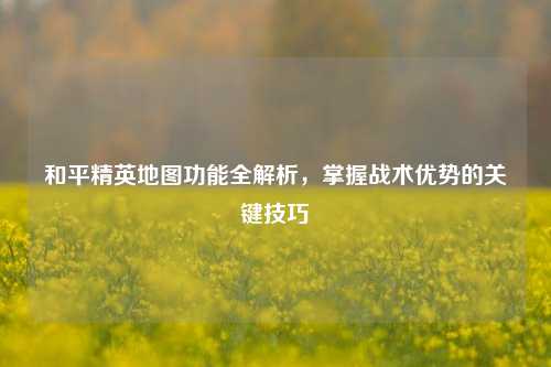 和平精英地图功能全解析，掌握战术优势的关键技巧