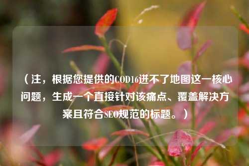（注，根据您提供的COD16进不了地图这一核心问题，生成一个直接针对该痛点、覆盖解决方案且符合SEO规范的标题。）