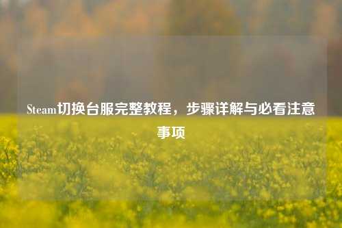 Steam切换台服完整教程，步骤详解与必看注意事项