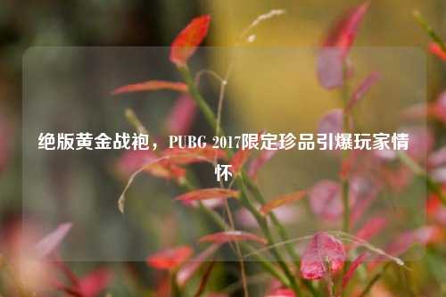 绝版黄金战袍，PUBG 2017限定珍品引爆玩家情怀