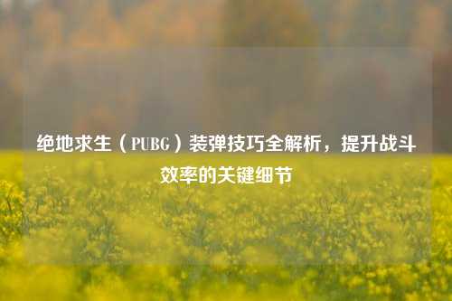 绝地求生(PUBG)装弹技巧全解析,提升战斗效率的关键细节
