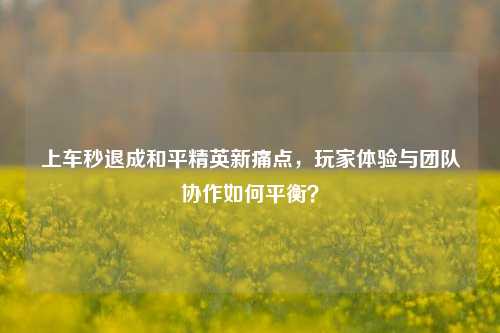 上车秒退成和平精英新痛点，玩家体验与团队协作如何平衡？