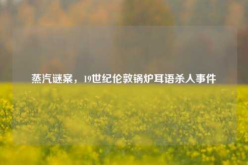 蒸汽谜案,19世纪伦敦锅炉耳语杀人事件