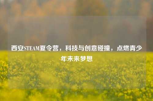 西安STEAM夏令营，科技与创意碰撞，点燃青少年未来梦想